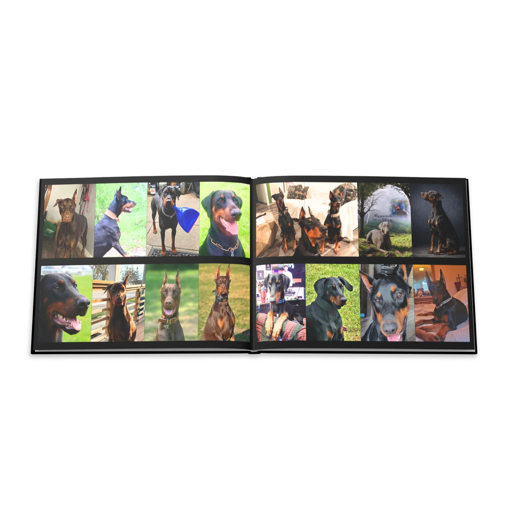 The Doberman Photo Book: Celebrating the Breed We Love (Edition 3 2016–2026)