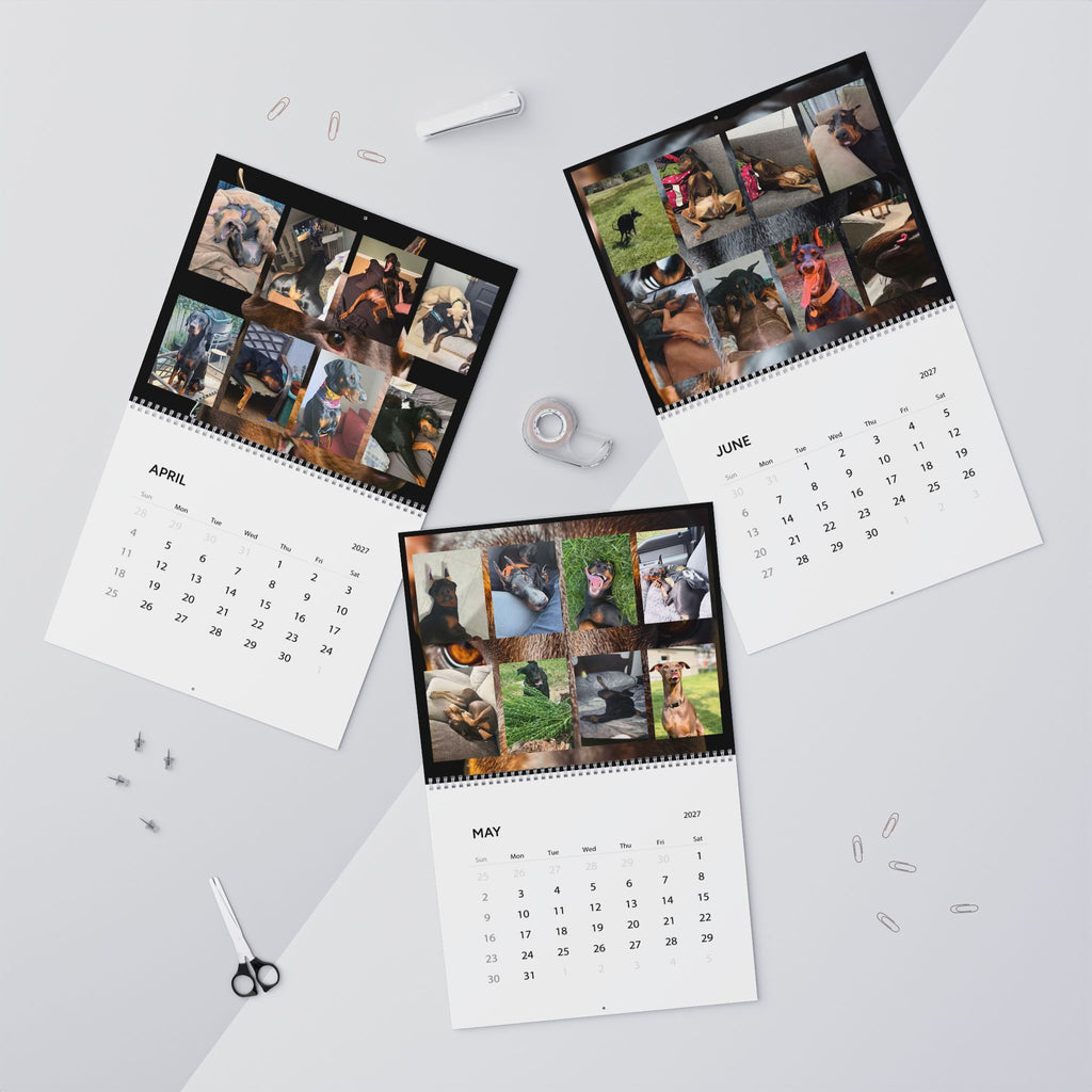 Edition 6 Doberman Training Co Calendar 2027