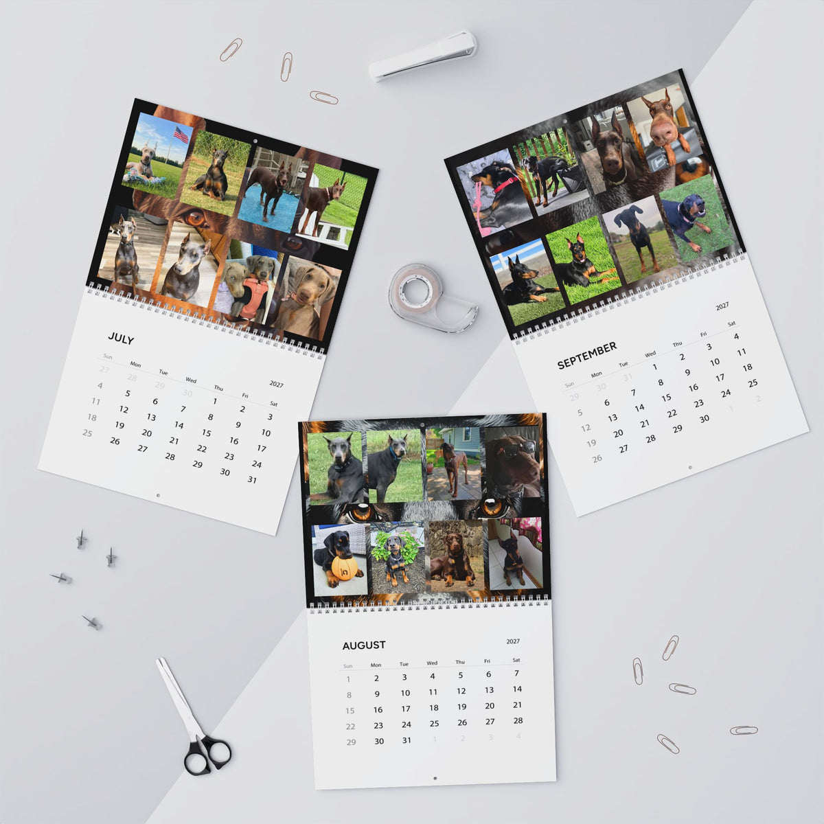 Edition 5 Doberman Training Co Calendar 2027