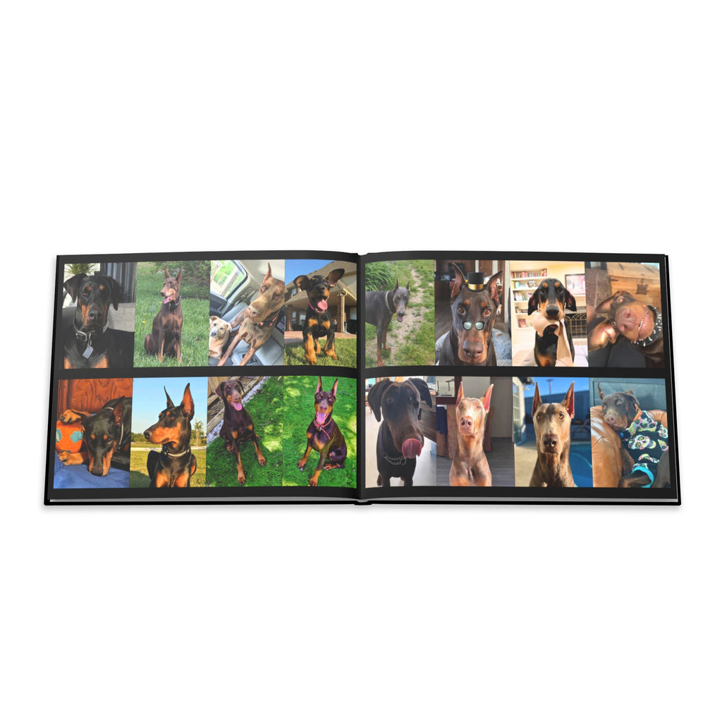 The Doberman Photo Book: Celebrating the Breed We Love (Edition 3 2016–2026)