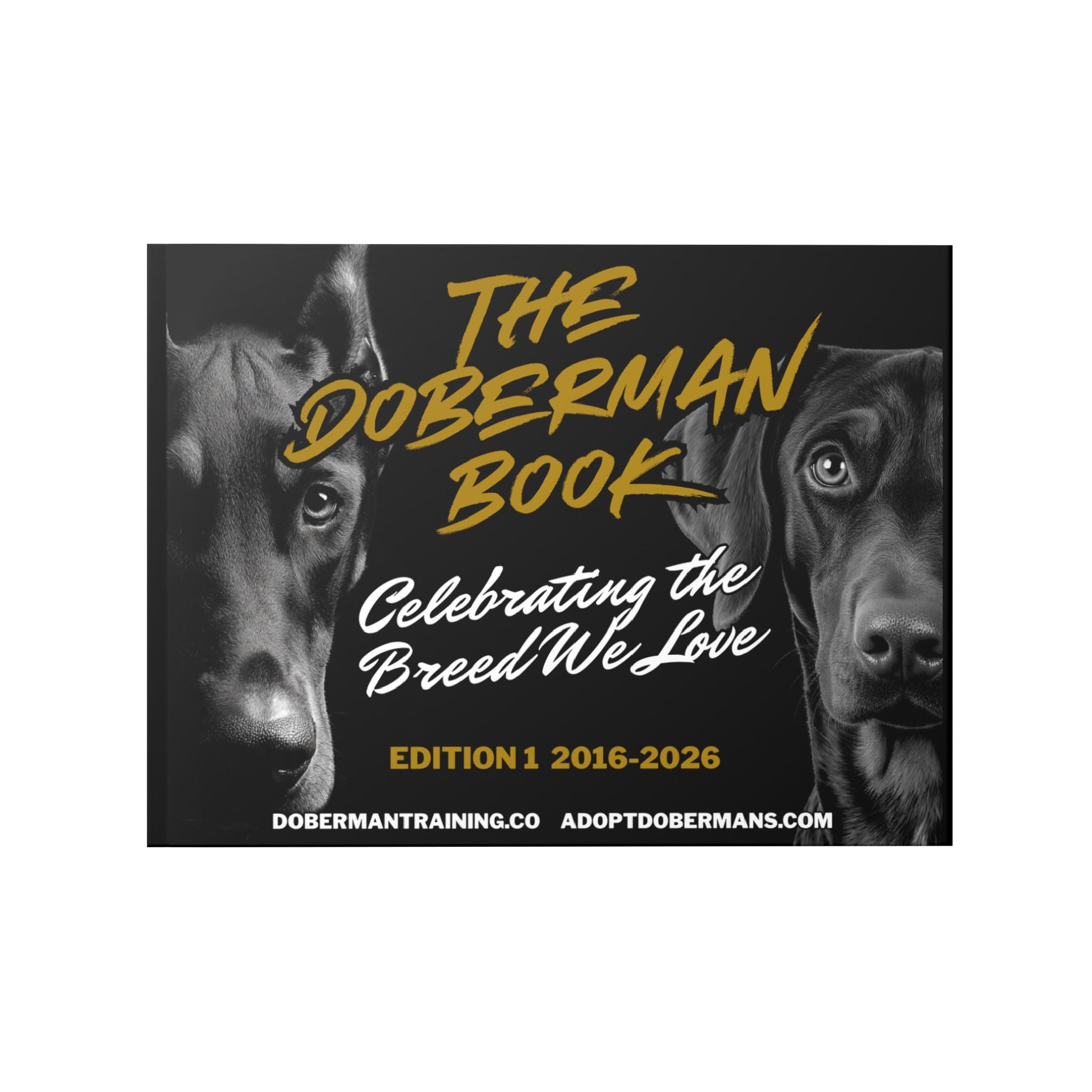 The Doberman Photo Book: Celebrating the Breed We Love (Edition 1 2016–2026)