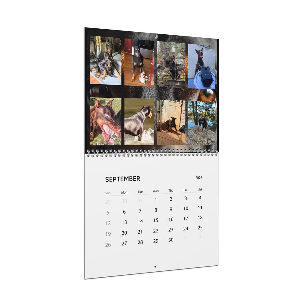 Edition 7 Doberman Training Co Calendar 2027