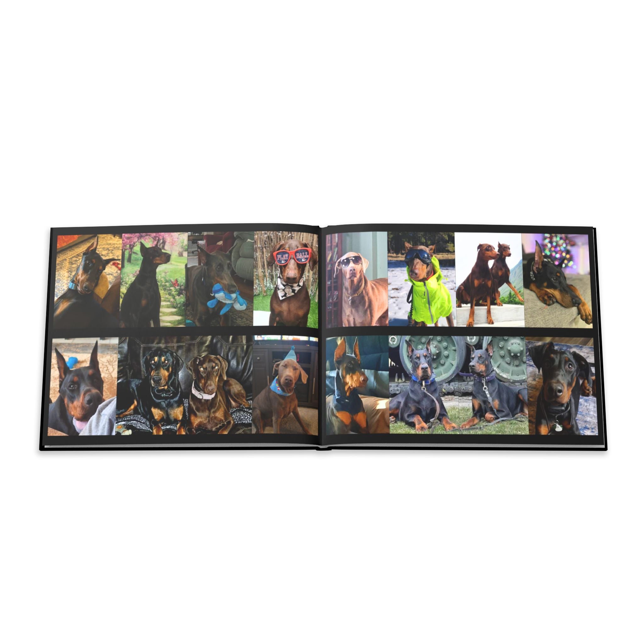 The Doberman Photo Book: Celebrating the Breed We Love (Edition 1 2016–2026)