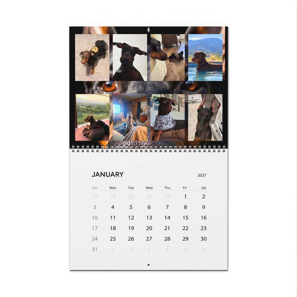 Edition 6 Doberman Training Co Calendar 2027