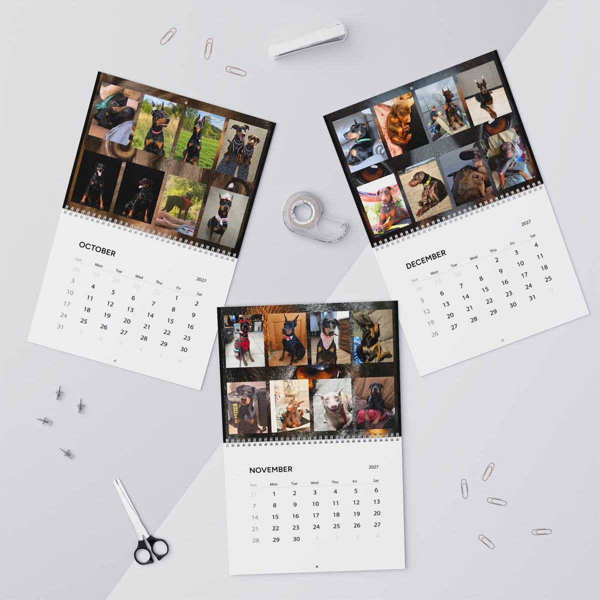 Edition 4 Doberman Training Co Calendar 2027