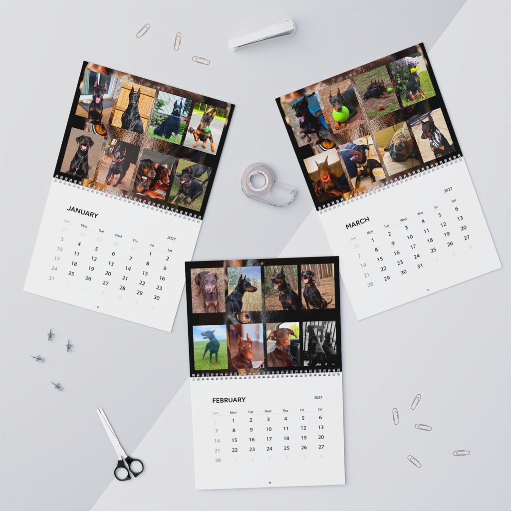 Edition 1 Doberman Training Co Calendar 2027