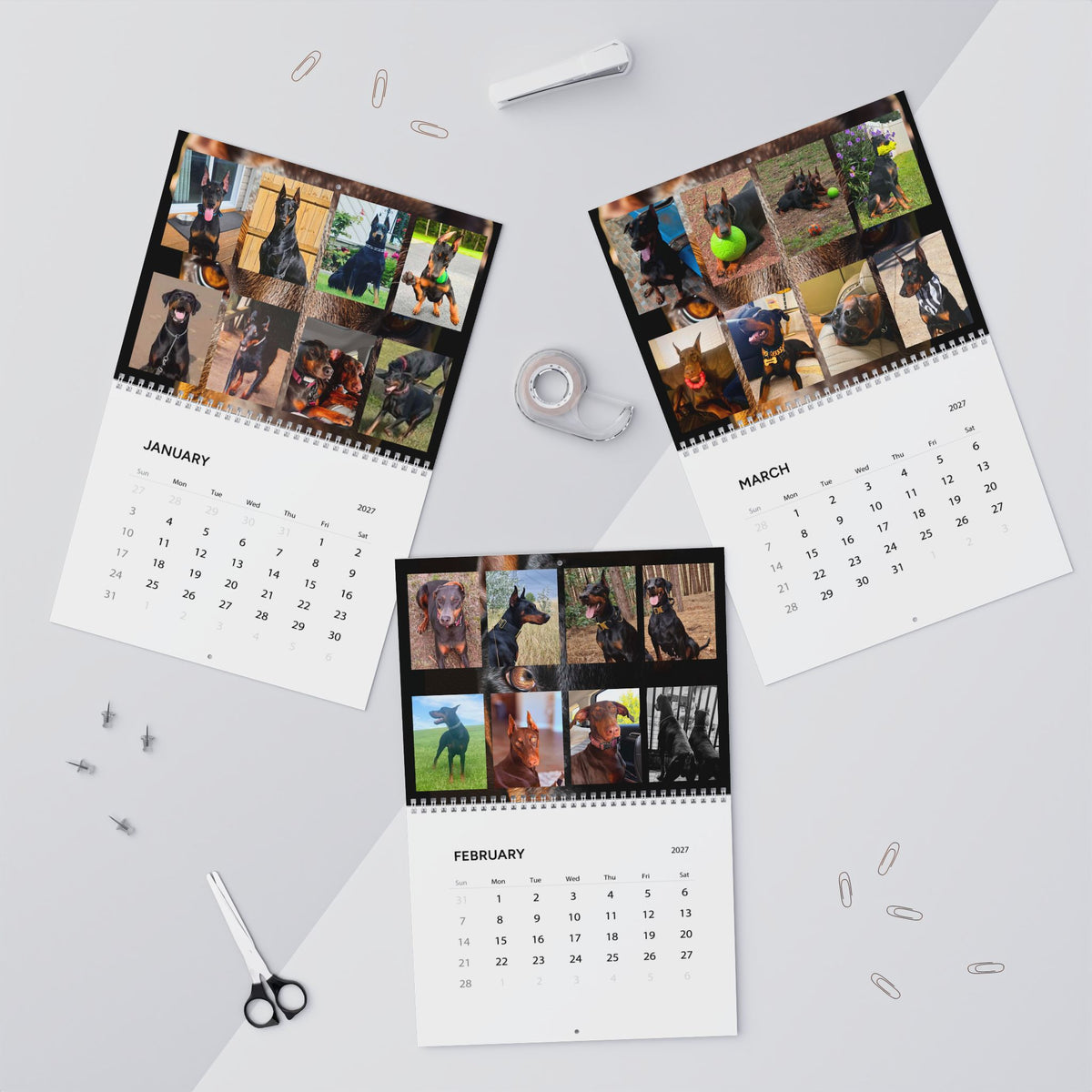 Edition 1 Doberman Training Co Calendar 2027