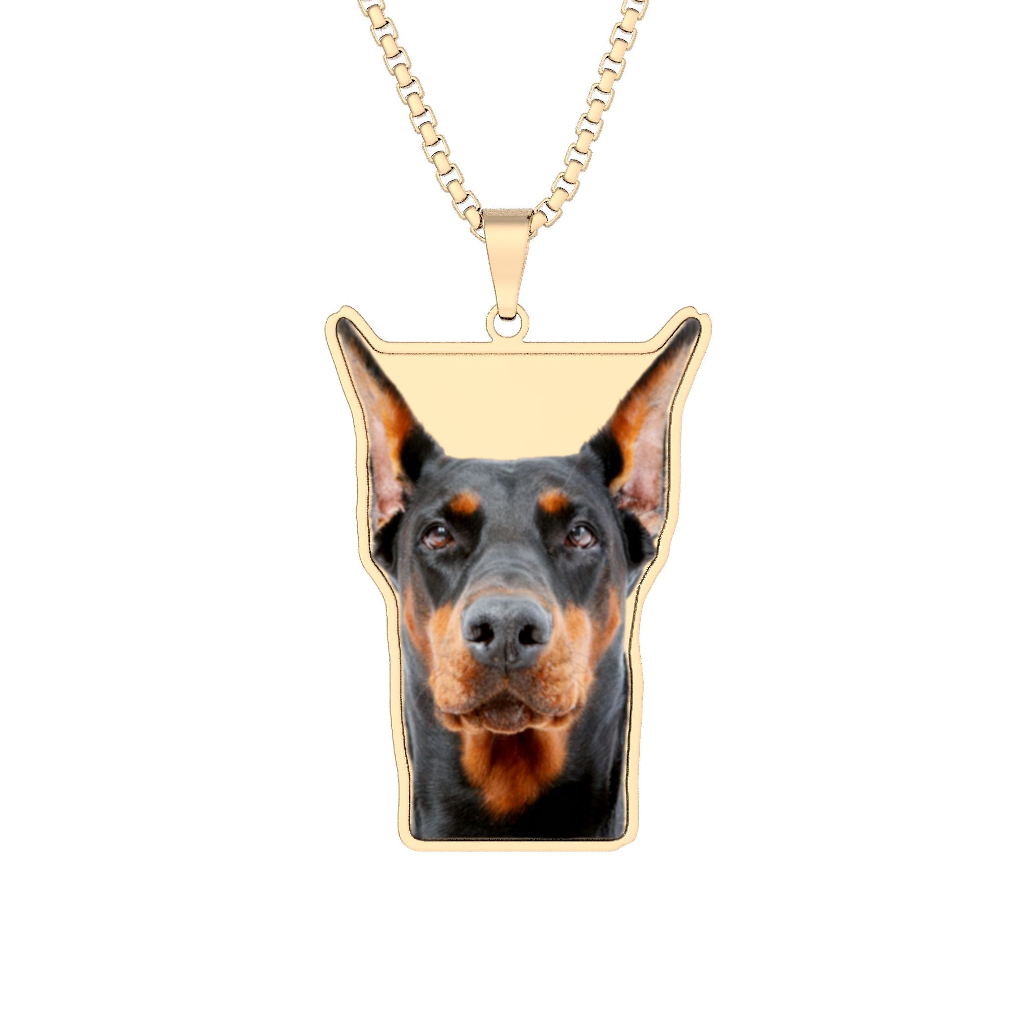Custom Photo Pendant — Personalized Cut-Out Necklace (Silver,.Stainless Steel or Gold)
