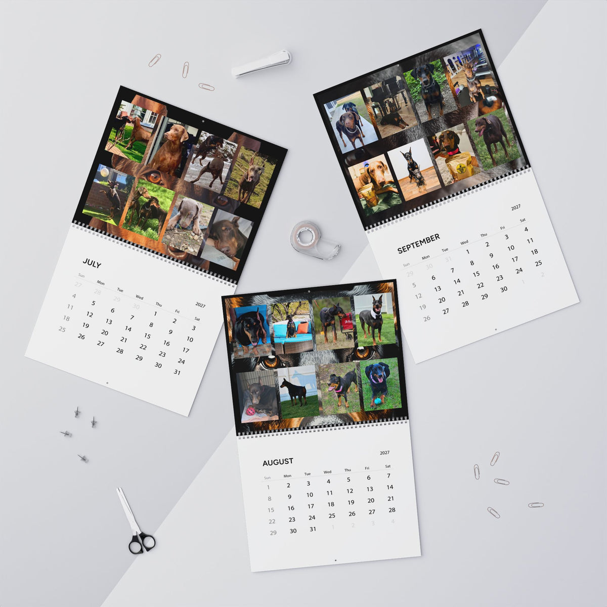 Edition 4 Doberman Training Co Calendar 2027
