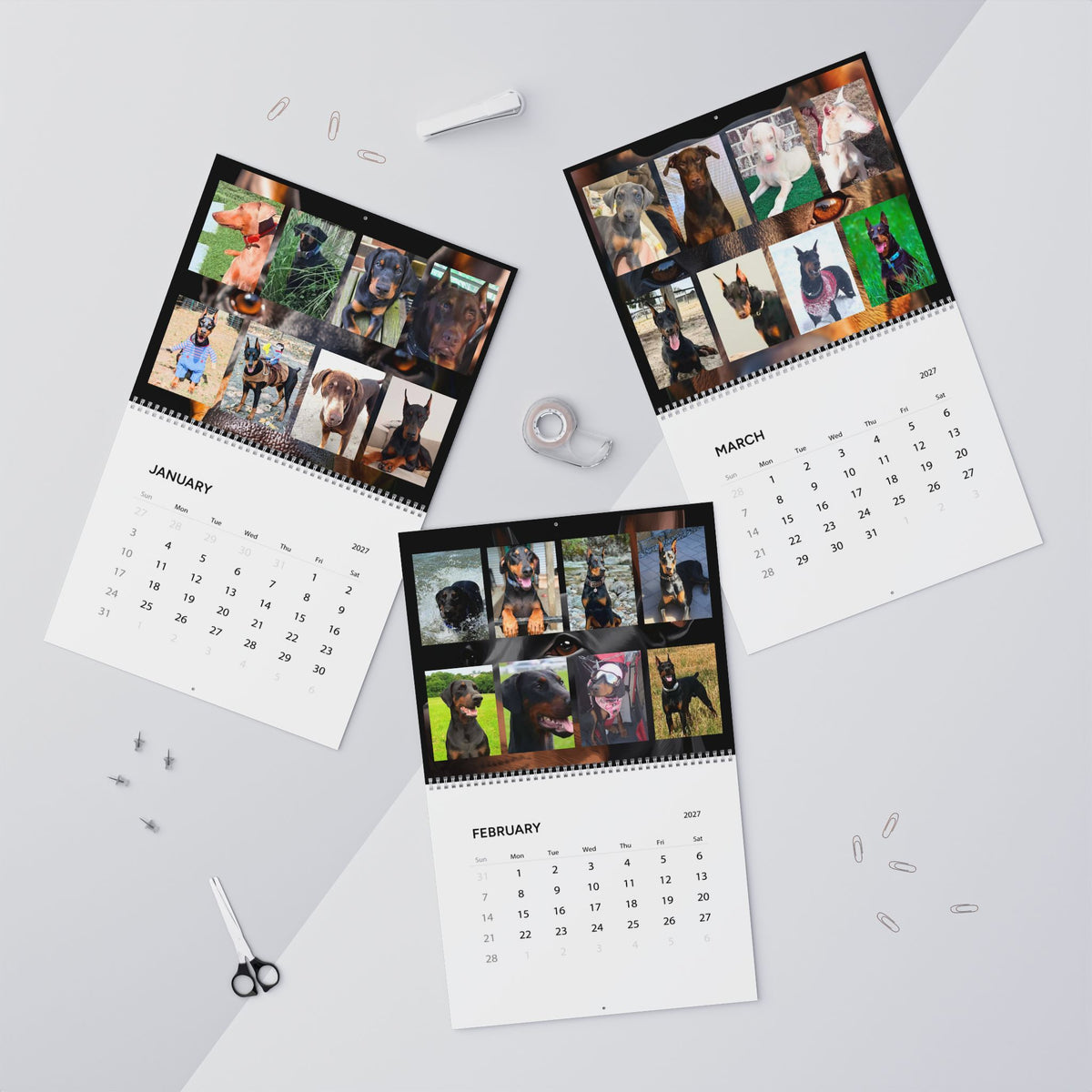 Edition 4 Doberman Training Co Calendar 2027