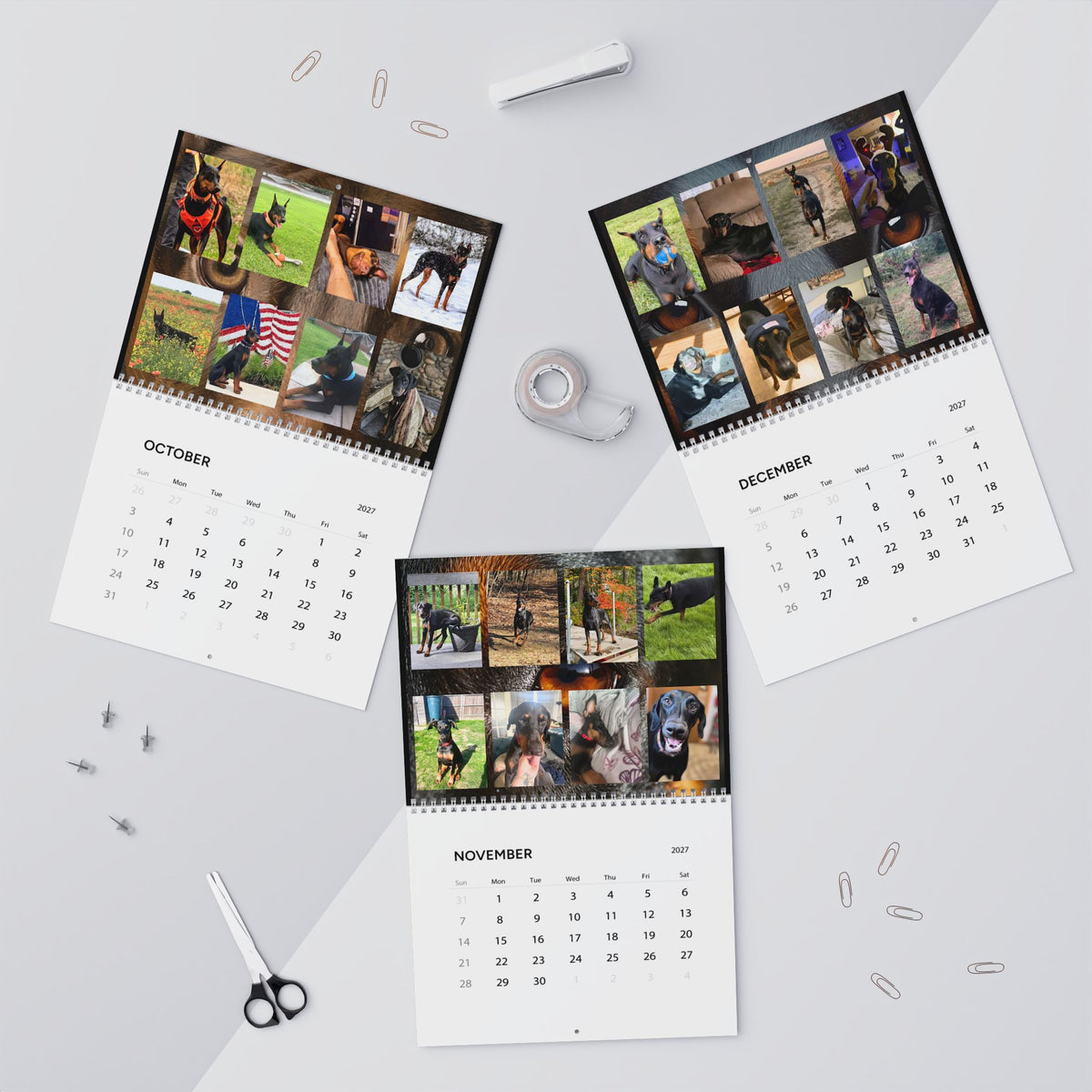 Edition 7 Doberman Training Co Calendar 2027