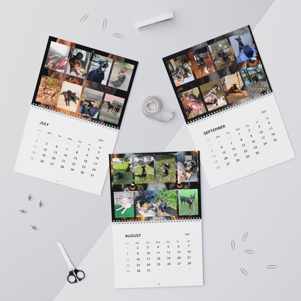 Edition 7 Doberman Training Co Calendar 2027