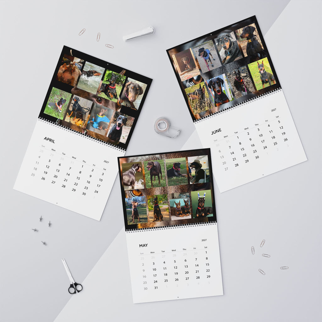 Edition 4 Doberman Training Co Calendar 2027
