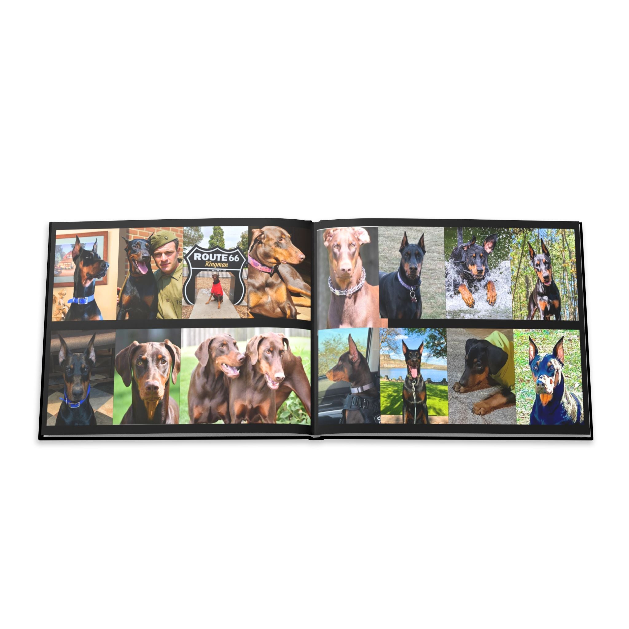 The Doberman Photo Book: Celebrating the Breed We Love (Edition 2 2016–2026)