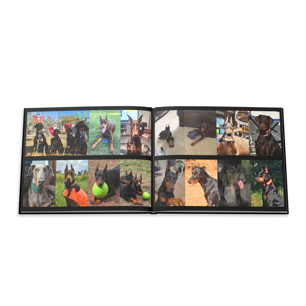 The Doberman Photo Book: Celebrating the Breed We Love (Edition 3 2016–2026)