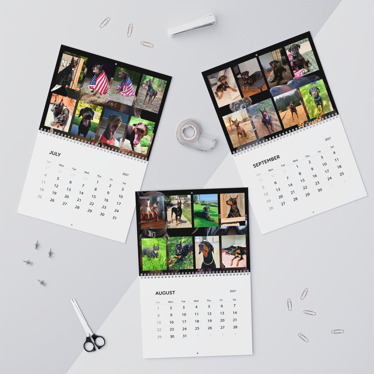 Edition 1 Doberman Training Co Calendar 2027