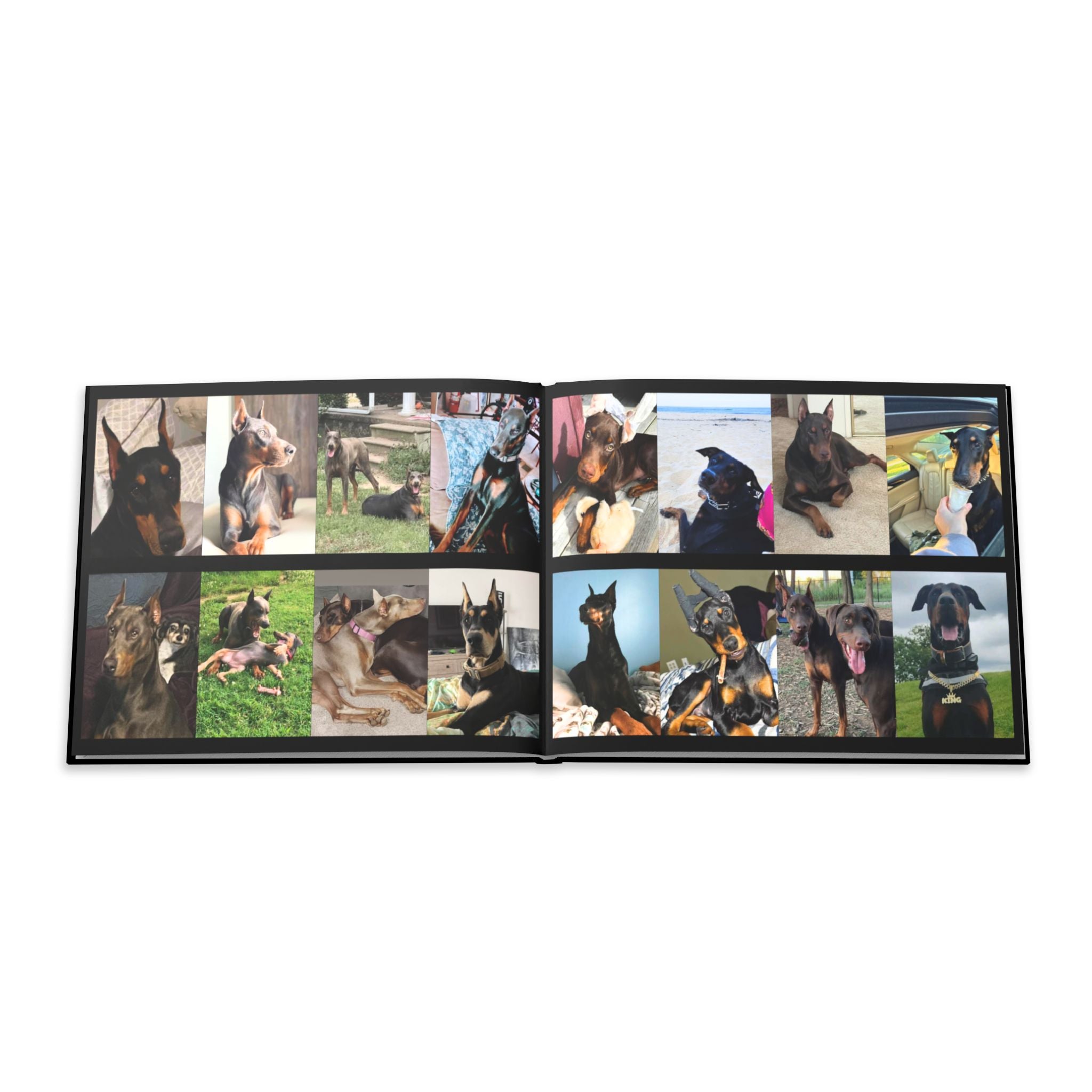 The Doberman Photo Book: Celebrating the Breed We Love (Edition 1 2016–2026)