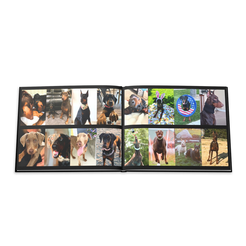 The Doberman Photo Book: Celebrating the Breed We Love (Edition 2 2016–2026)