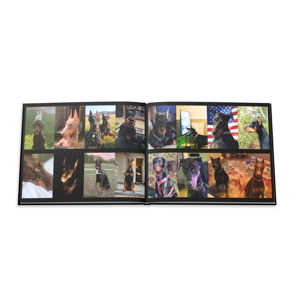 The Doberman Photo Book: Celebrating the Breed We Love (Edition 3 2016–2026)