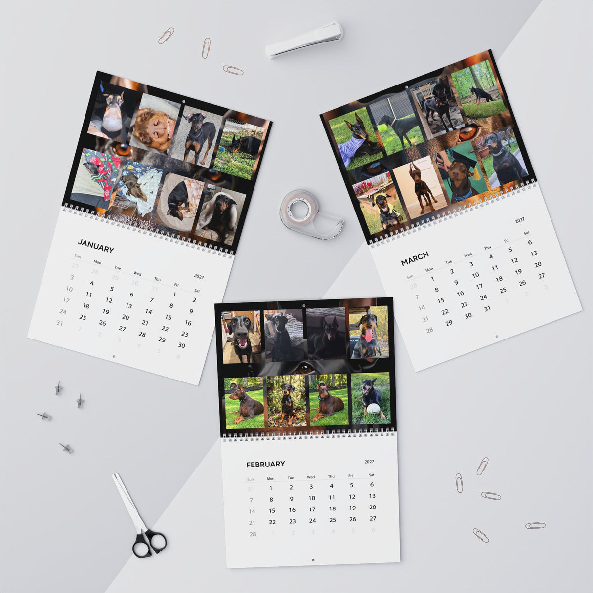 Edition 7 Doberman Training Co Calendar 2027