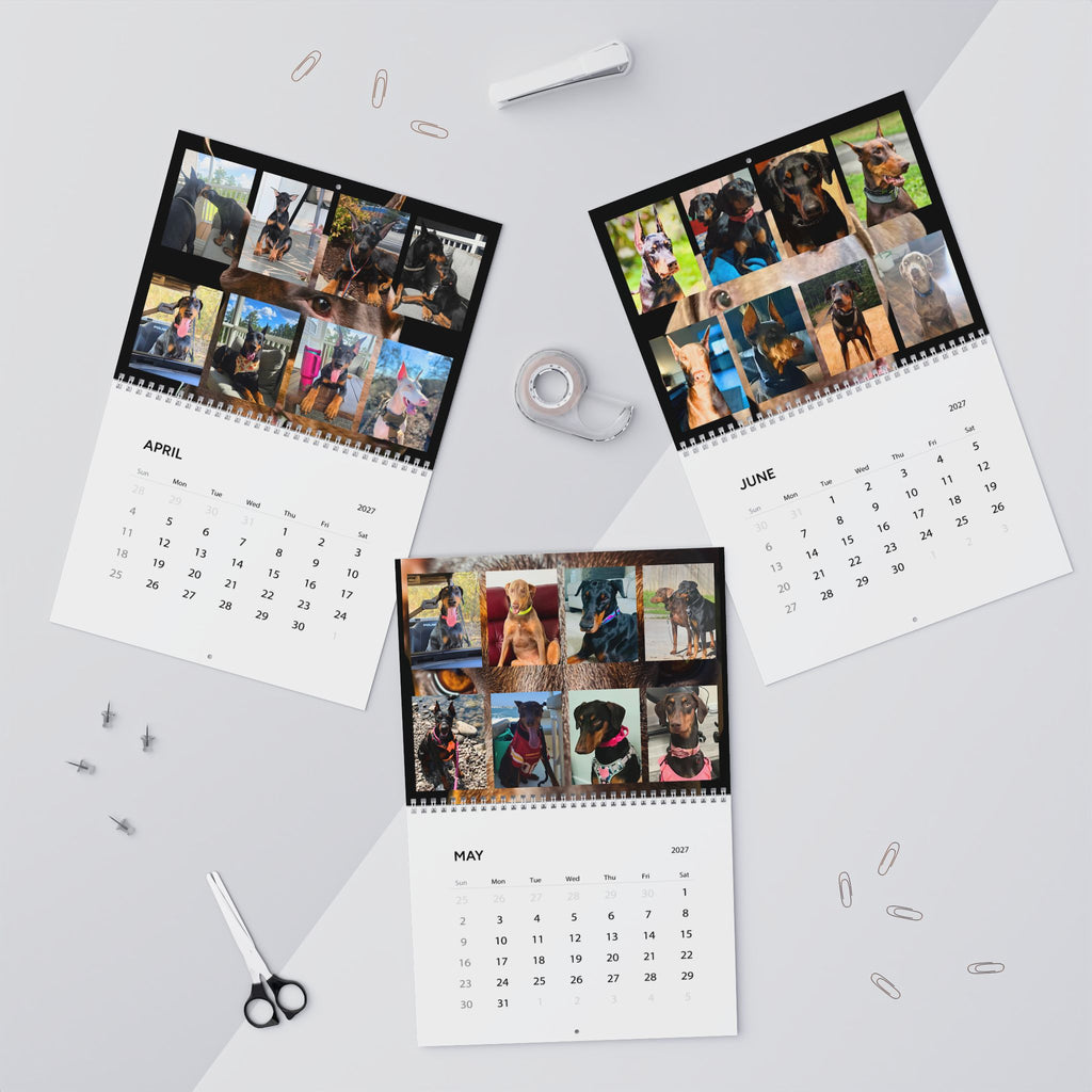 Edition 3 Doberman Training Co Calendar 2027