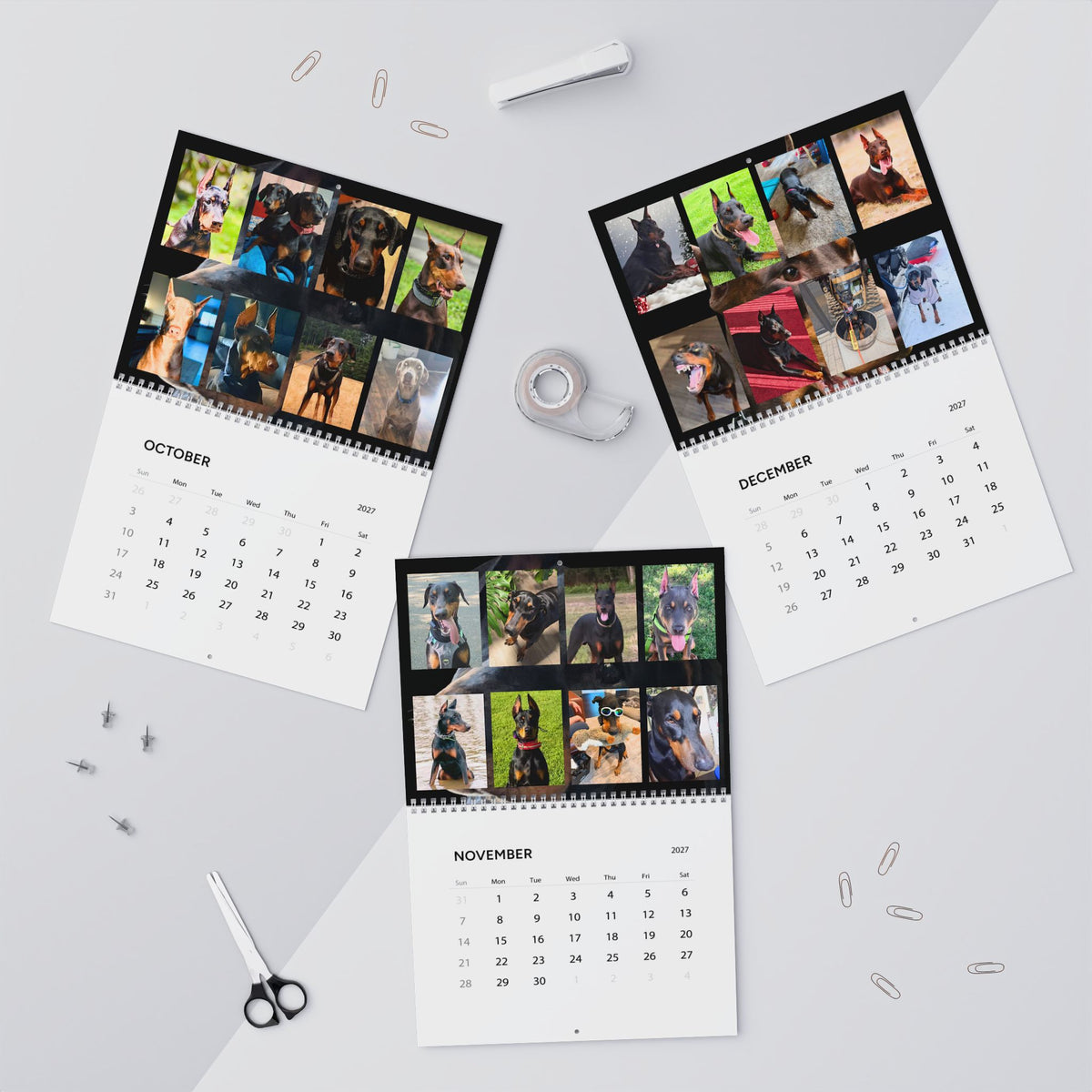Edition 1 Doberman Training Co Calendar 2027