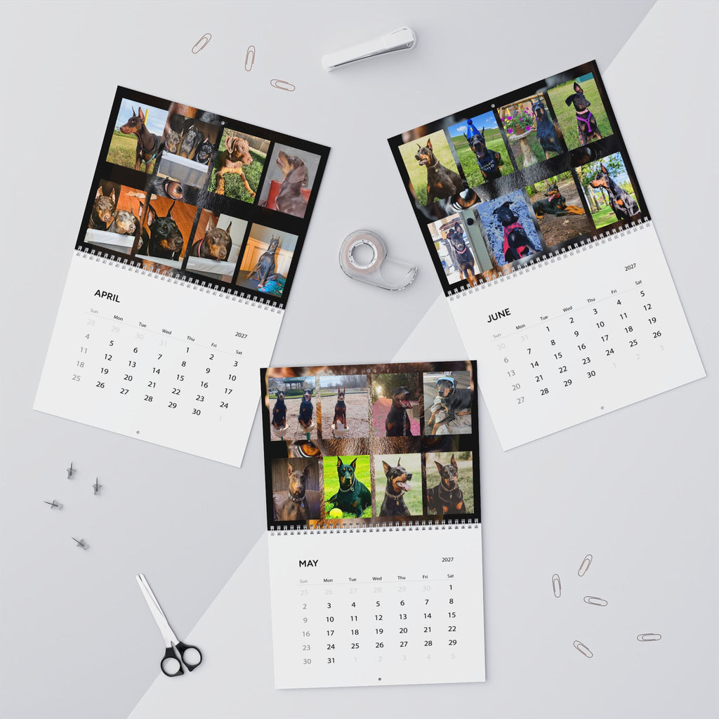 Edition 1 Doberman Training Co Calendar 2027