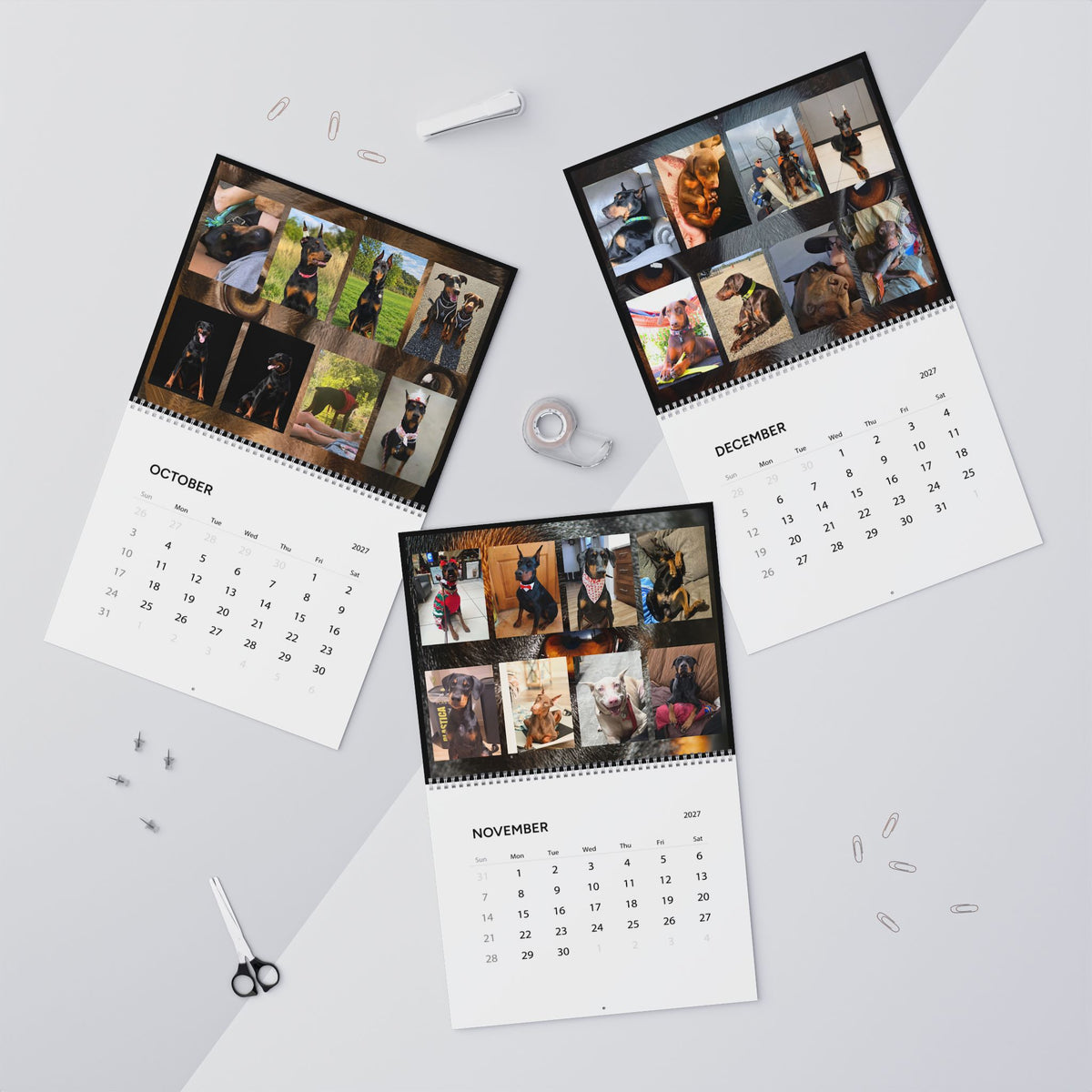 Edition 4 Doberman Training Co Calendar 2027