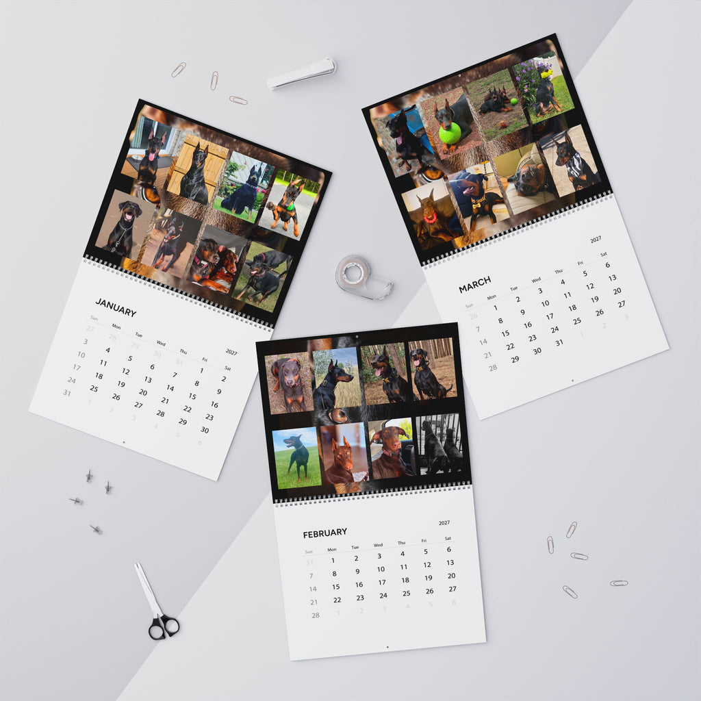 Edition 1 Doberman Training Co Calendar 2027