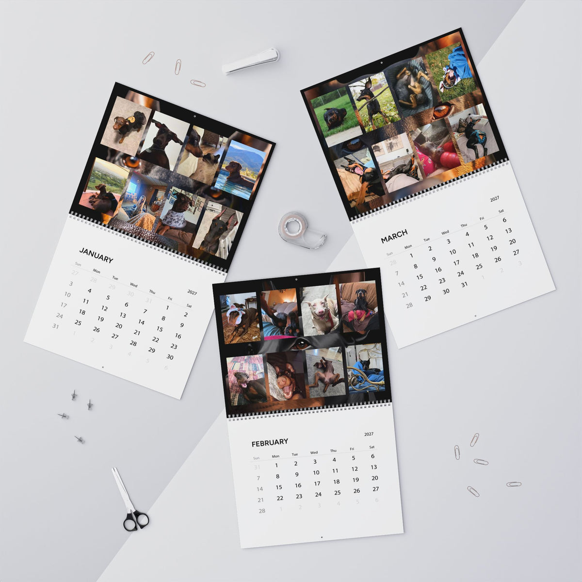 Edition 6 Doberman Training Co Calendar 2027