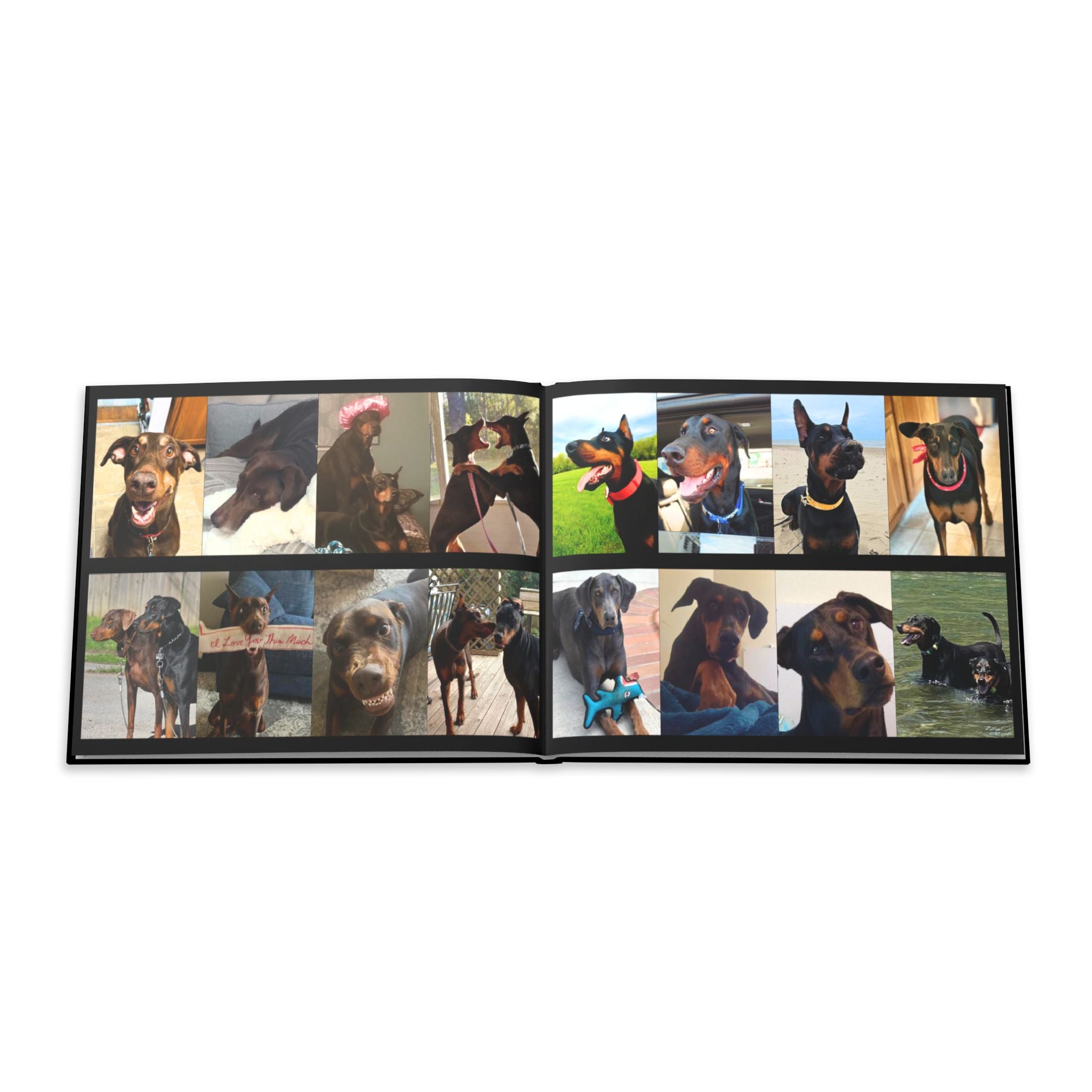 The Doberman Photo Book: Celebrating the Breed We Love (Edition 1 2016–2026)