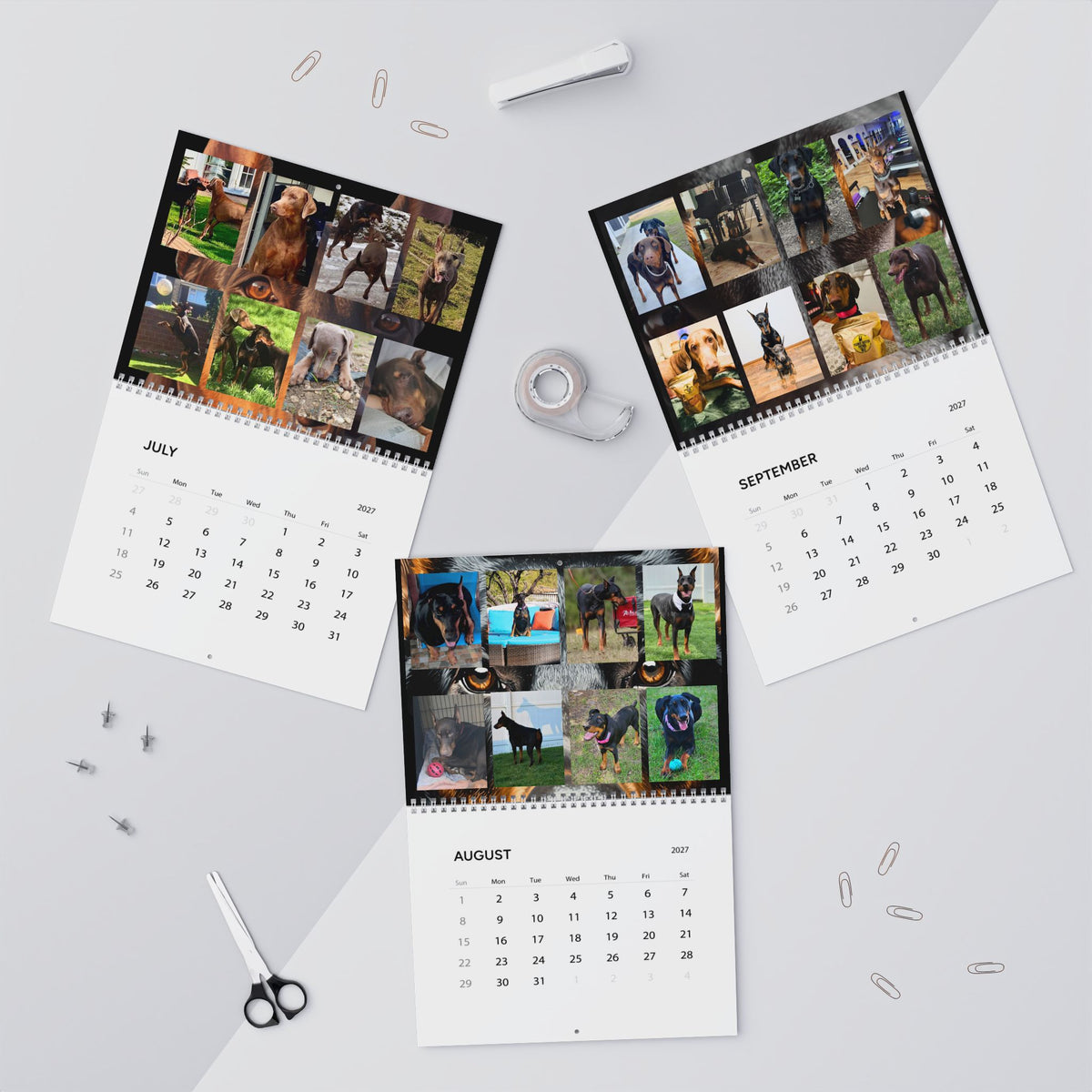Edition 4 Doberman Training Co Calendar 2027