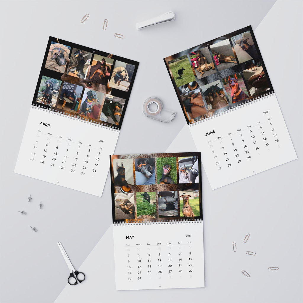 Edition 6 Doberman Training Co Calendar 2027