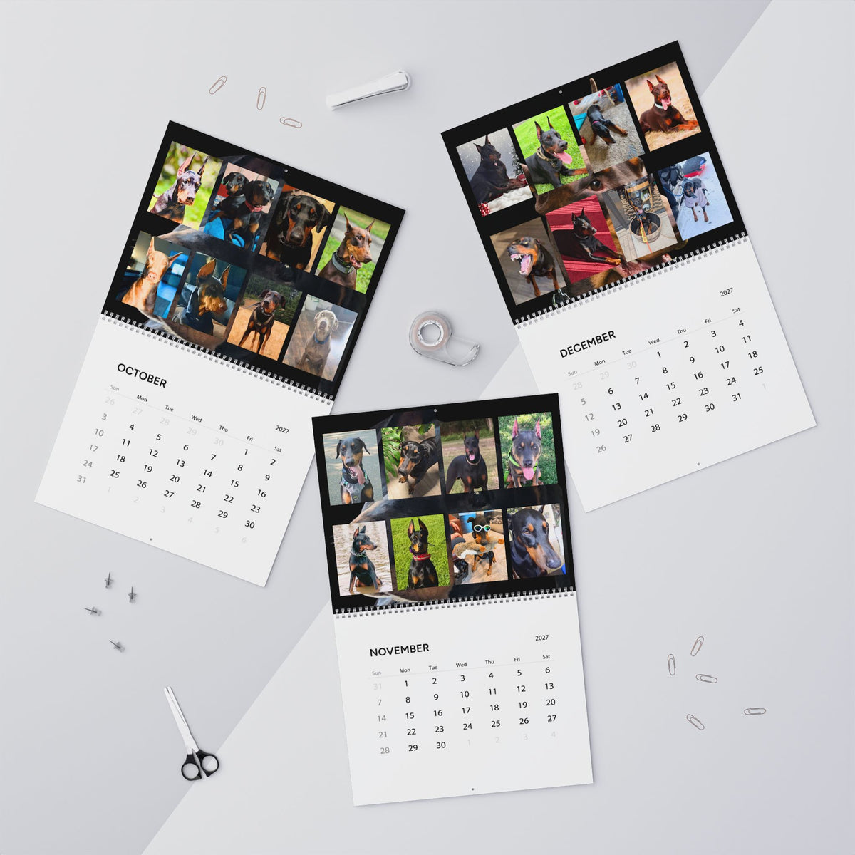 Edition 1 Doberman Training Co Calendar 2027