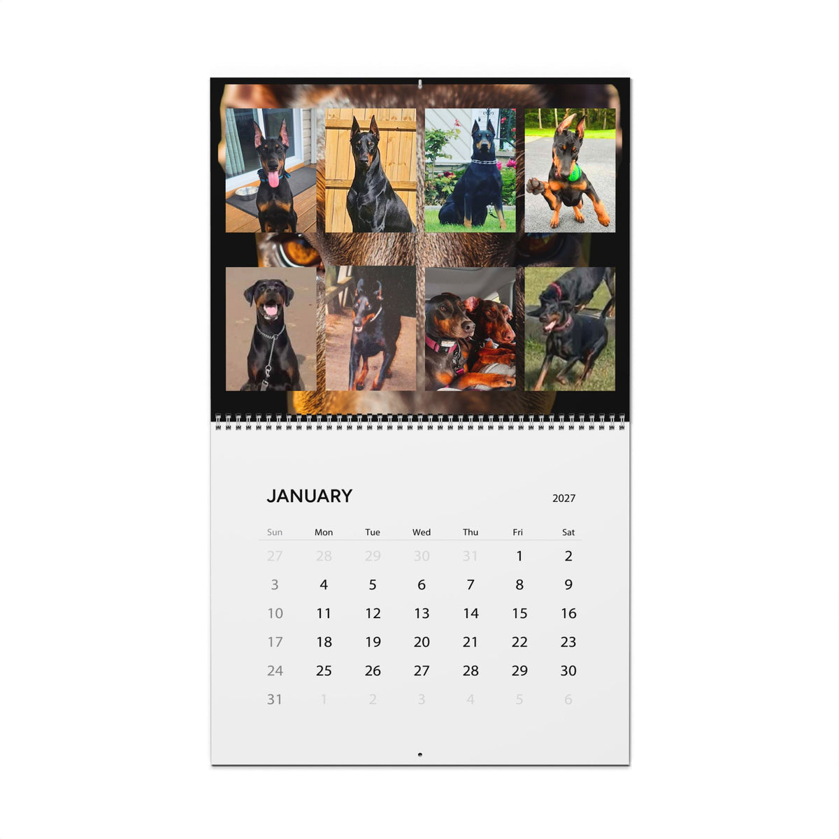 Edition 1 Doberman Training Co Calendar 2027
