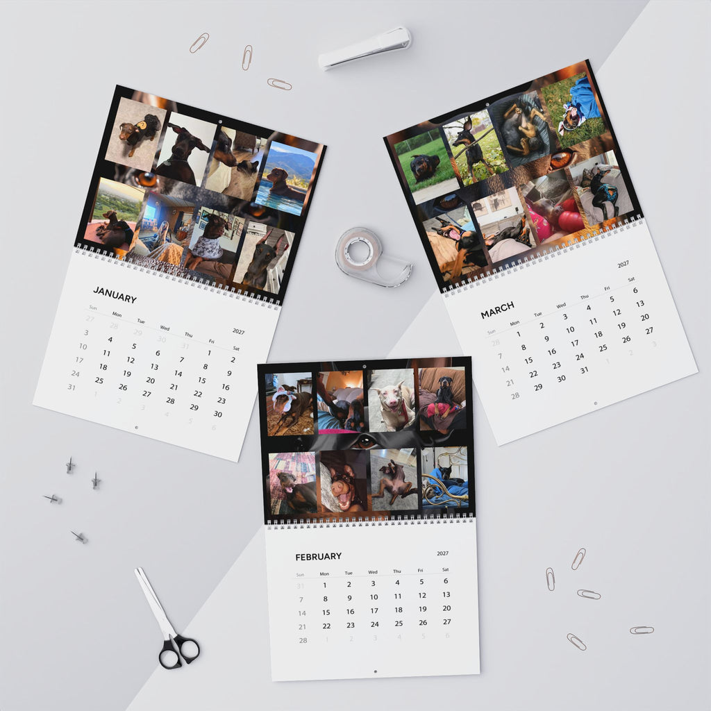 Edition 6 Doberman Training Co Calendar 2027