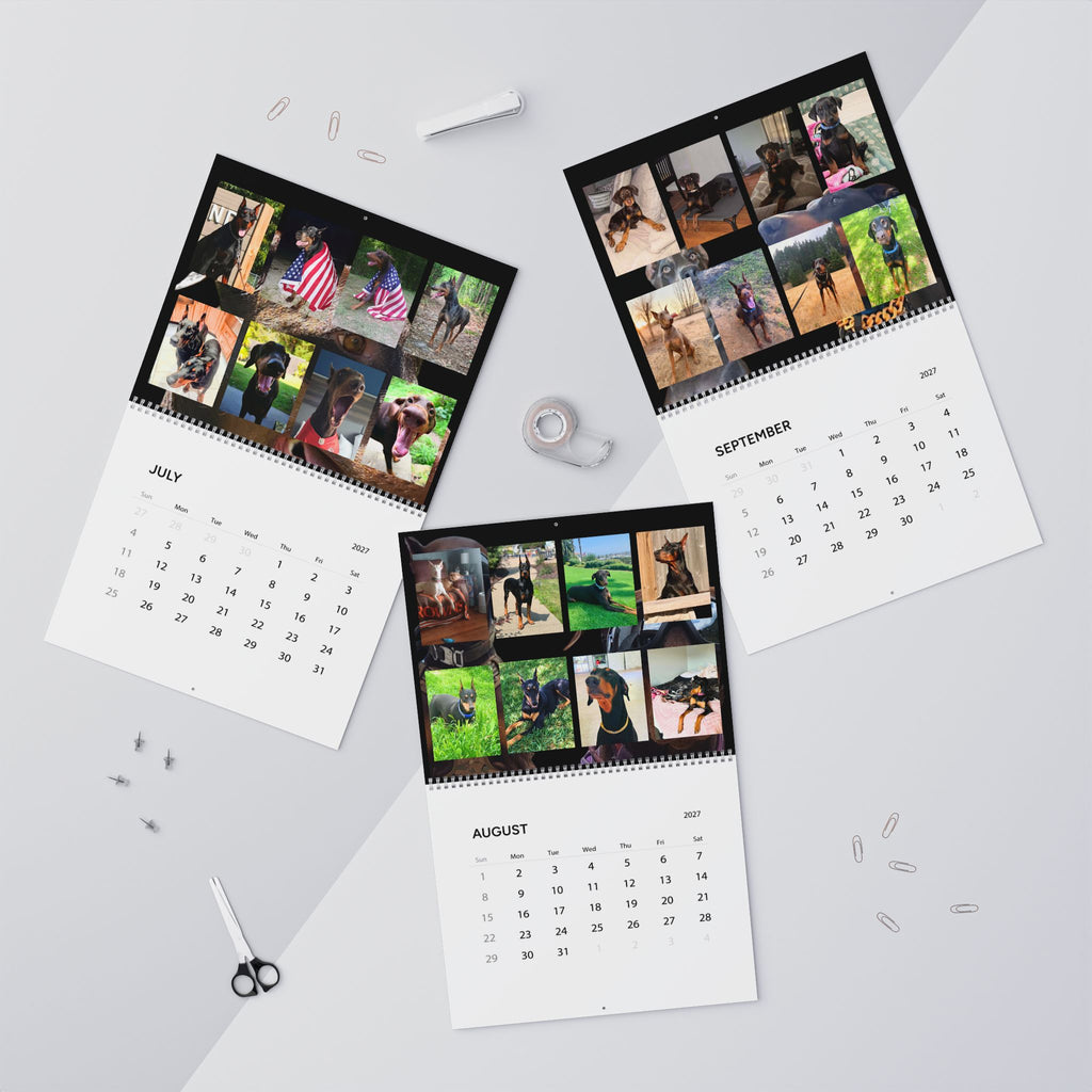 Edition 1 Doberman Training Co Calendar 2027