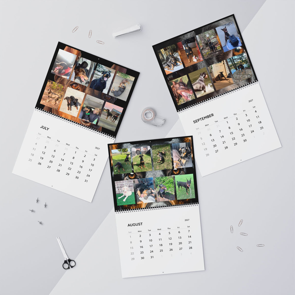 Edition 7 Doberman Training Co Calendar 2027