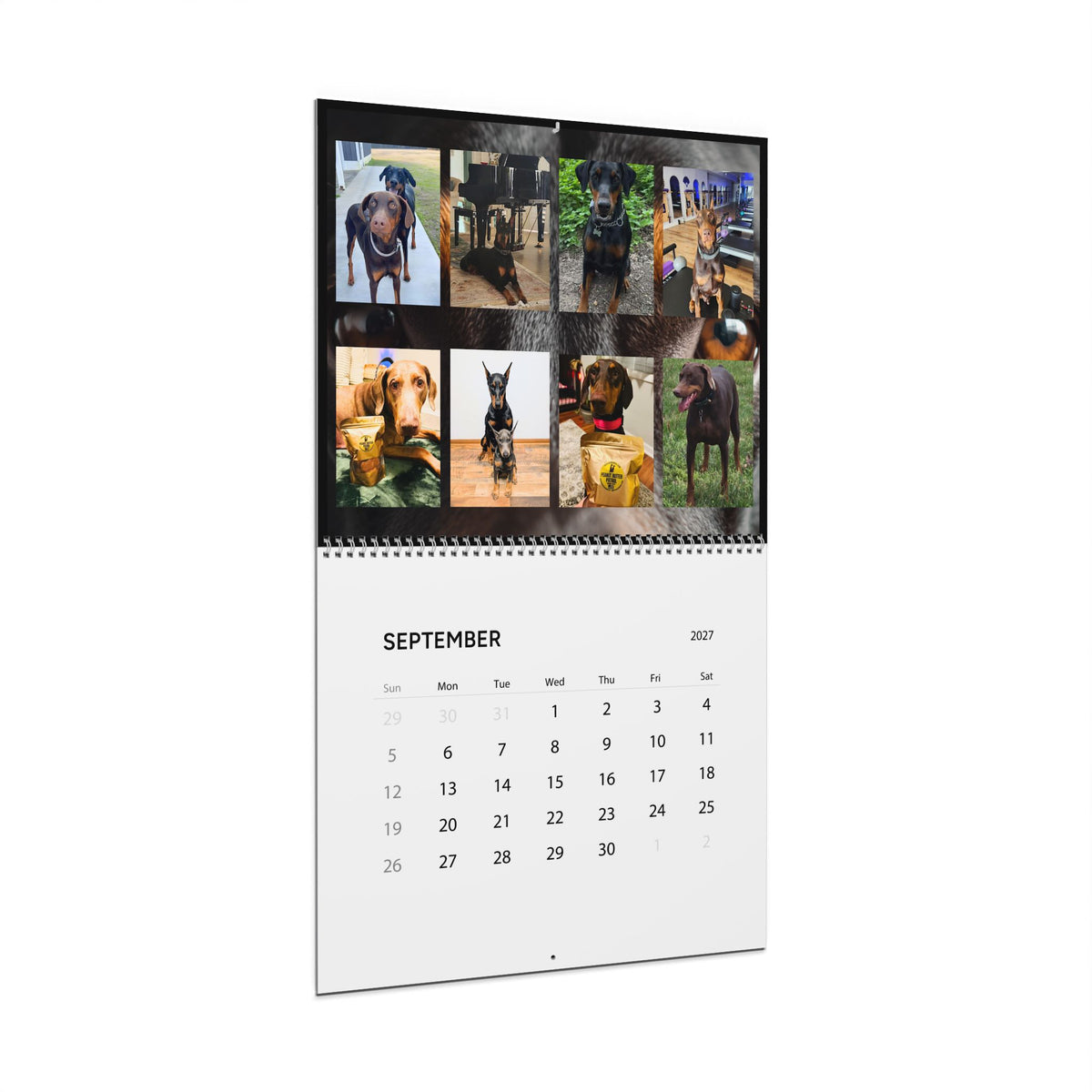 Edition 4 Doberman Training Co Calendar 2027