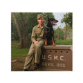 Devil Dogs: The Dobermans of WW2 Photo Book