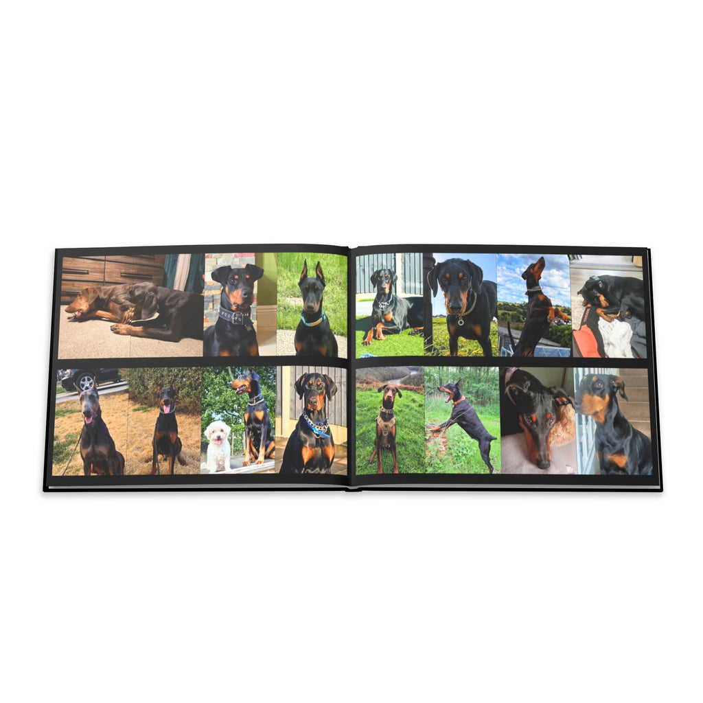 The Doberman Photo Book: Celebrating the Breed We Love (Edition 4 2016–2026)