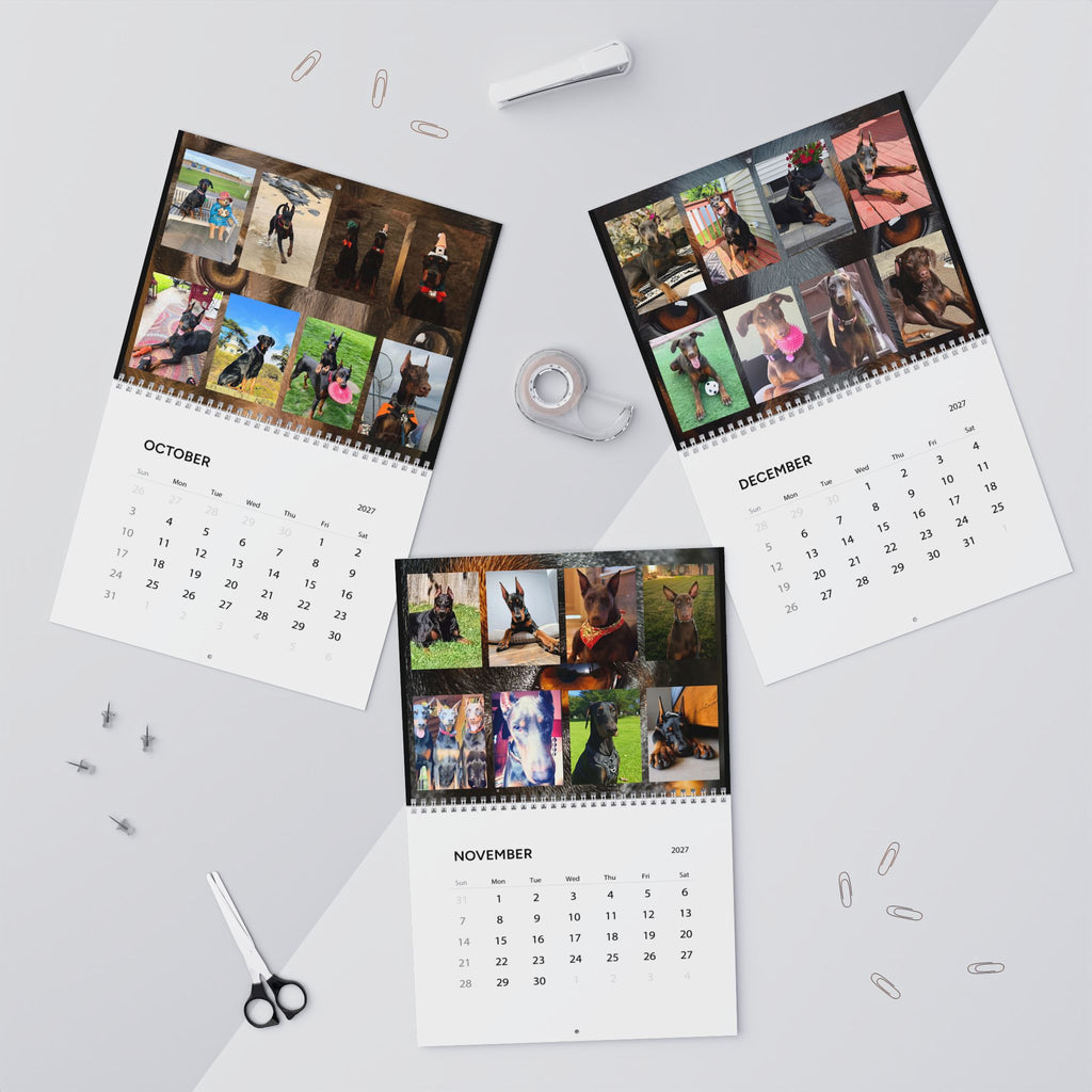 Edition 5 Doberman Training Co Calendar 2027