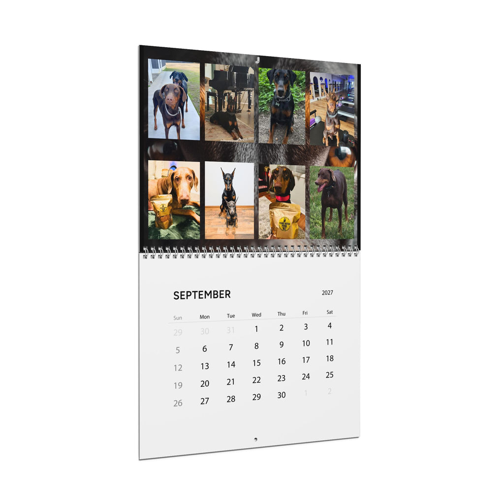 Edition 4 Doberman Training Co Calendar 2027