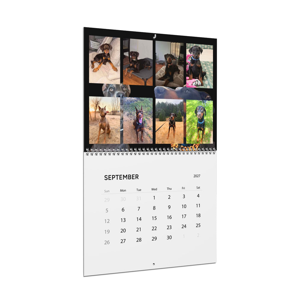 Edition 1 Doberman Training Co Calendar 2027