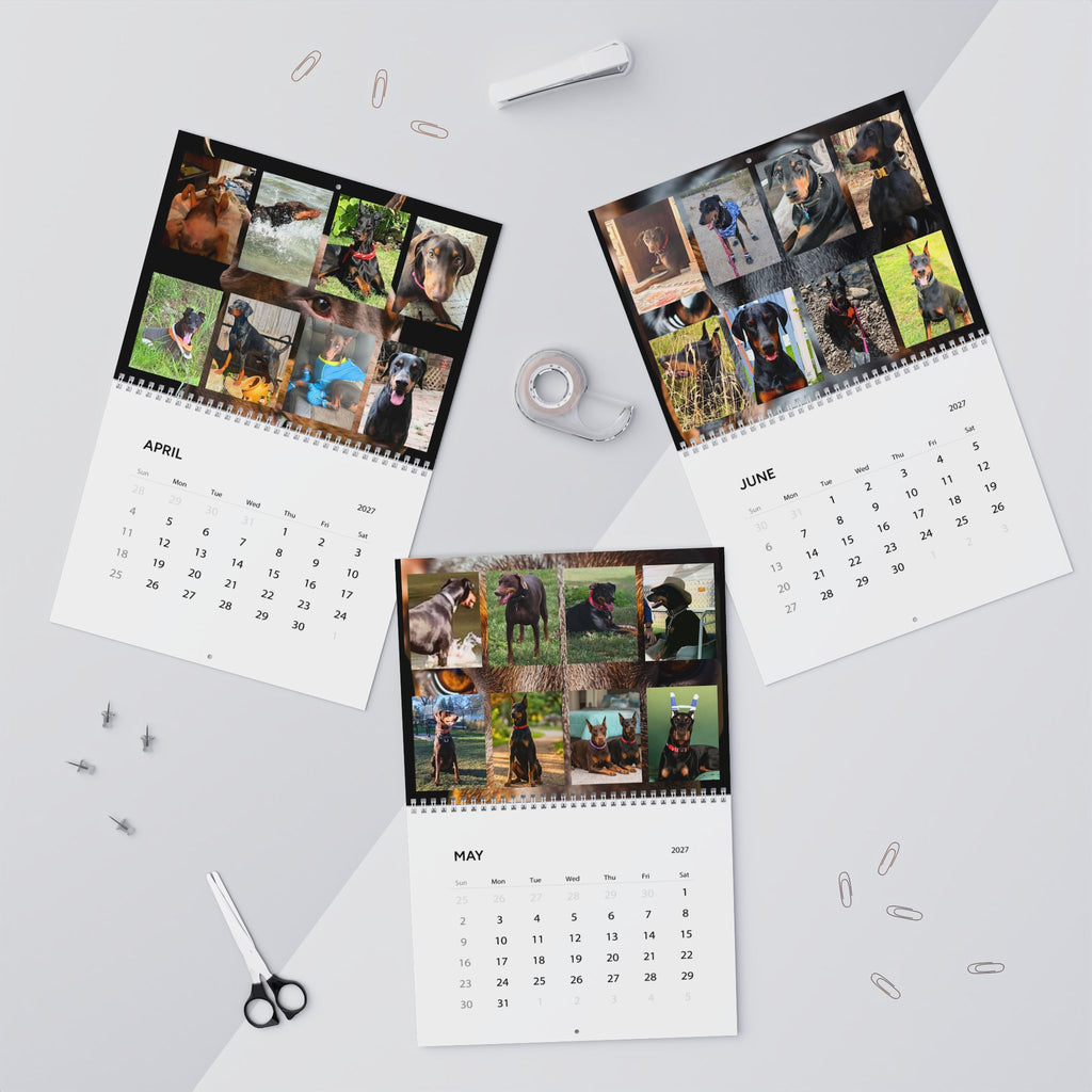 Edition 4 Doberman Training Co Calendar 2027