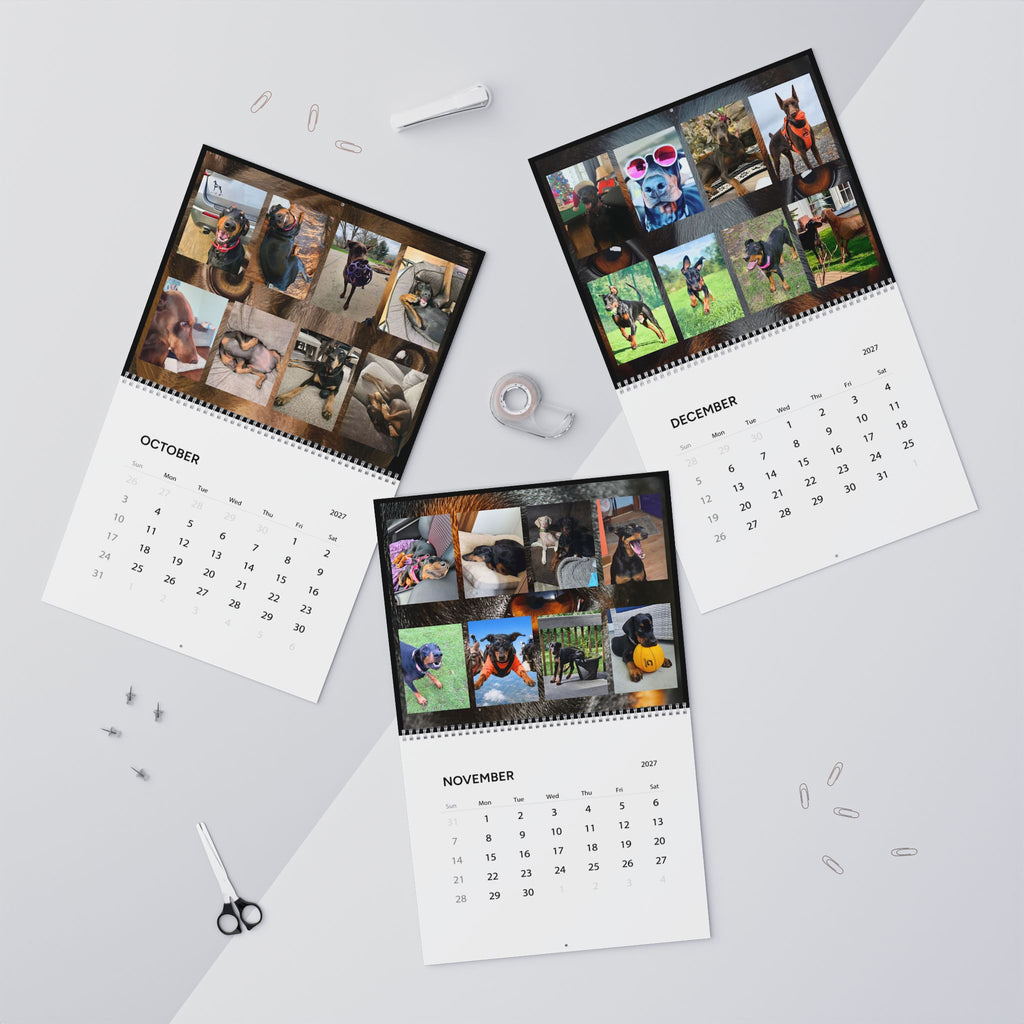 Edition 6 Doberman Training Co Calendar 2027