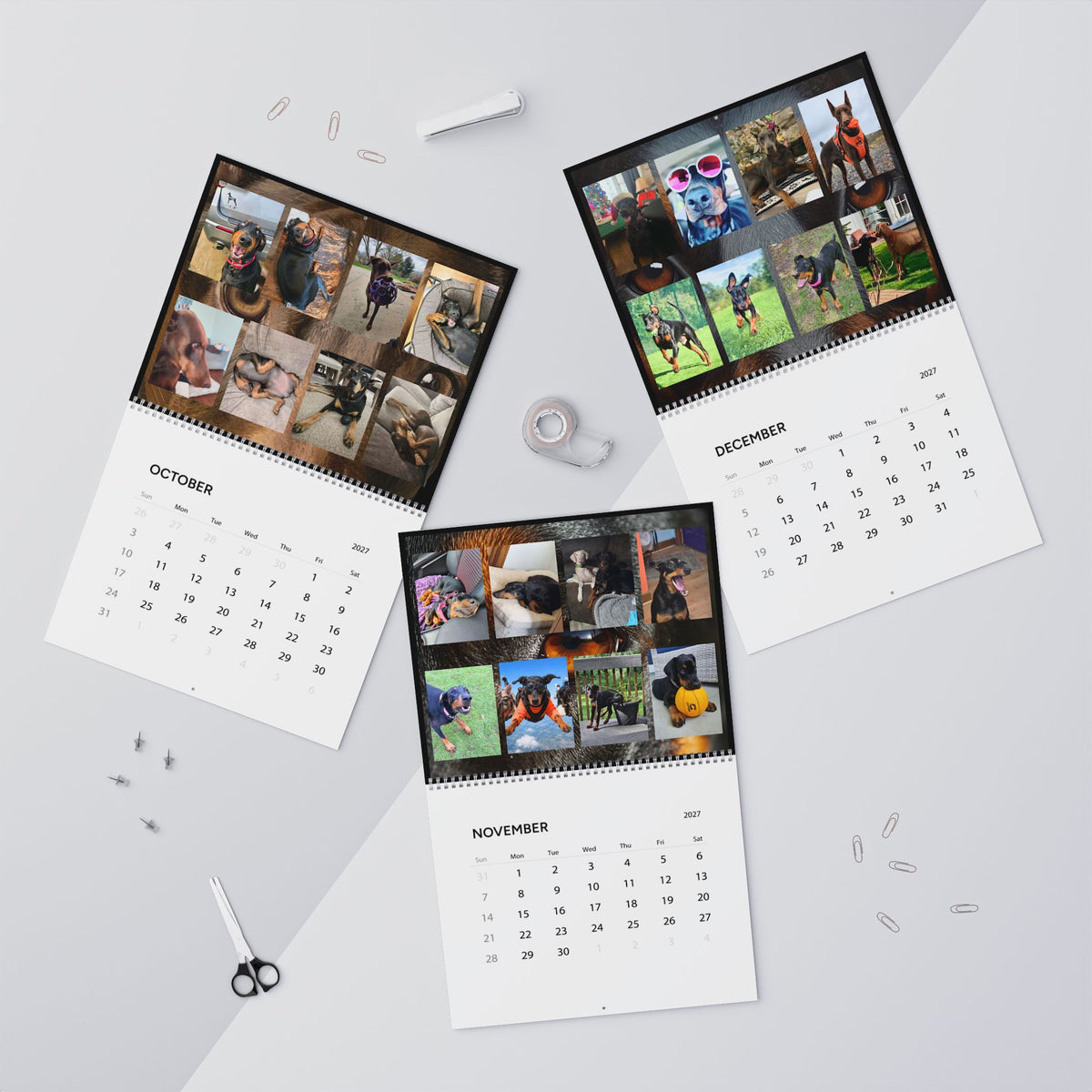 Edition 6 Doberman Training Co Calendar 2027