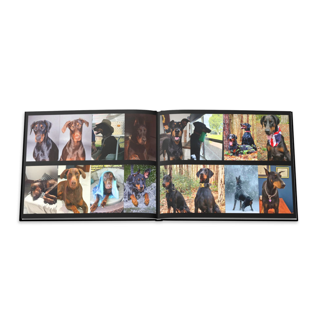 The Doberman Photo Book: Celebrating the Breed We Love (Edition 3 2016–2026)