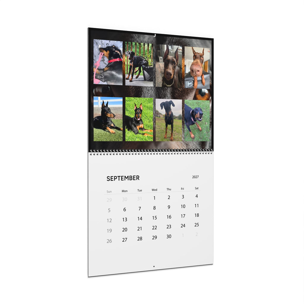Edition 5 Doberman Training Co Calendar 2027