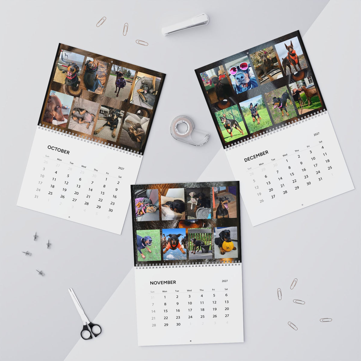 Edition 6 Doberman Training Co Calendar 2027